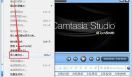 爆料视频怎样添加标题呢,如何巧妙添加标题，打造引人注目的概述文章副标题