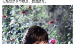 娱乐圈可以吃大瓜,揭秘明星幕后真相